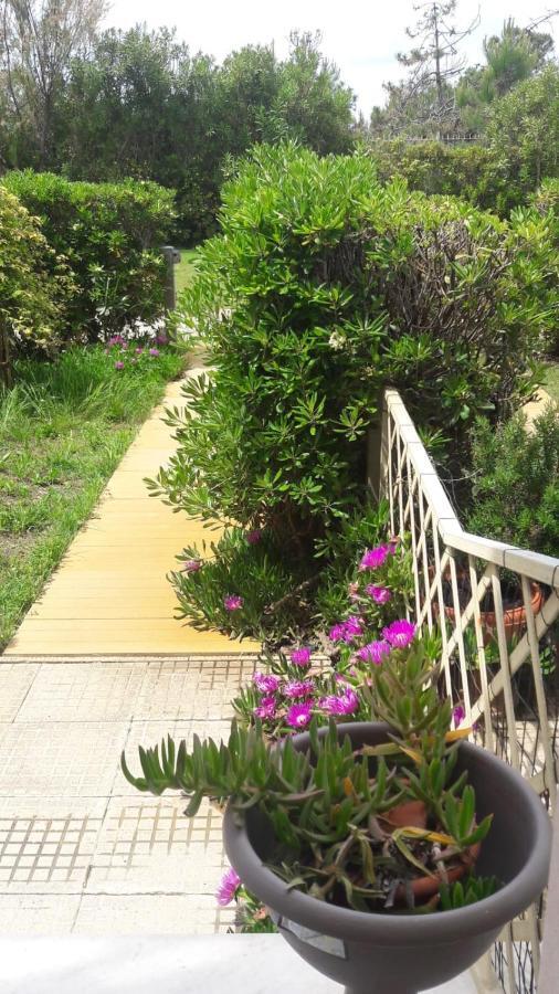 Sea Beach Relax Tirrenia Bagian luar foto