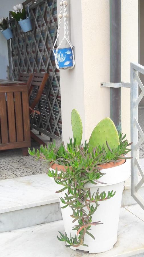 Sea Beach Relax Tirrenia Bagian luar foto